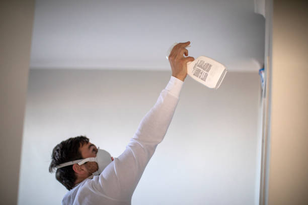 Best Insurance-Related Mold Remediation in Clovis, CA